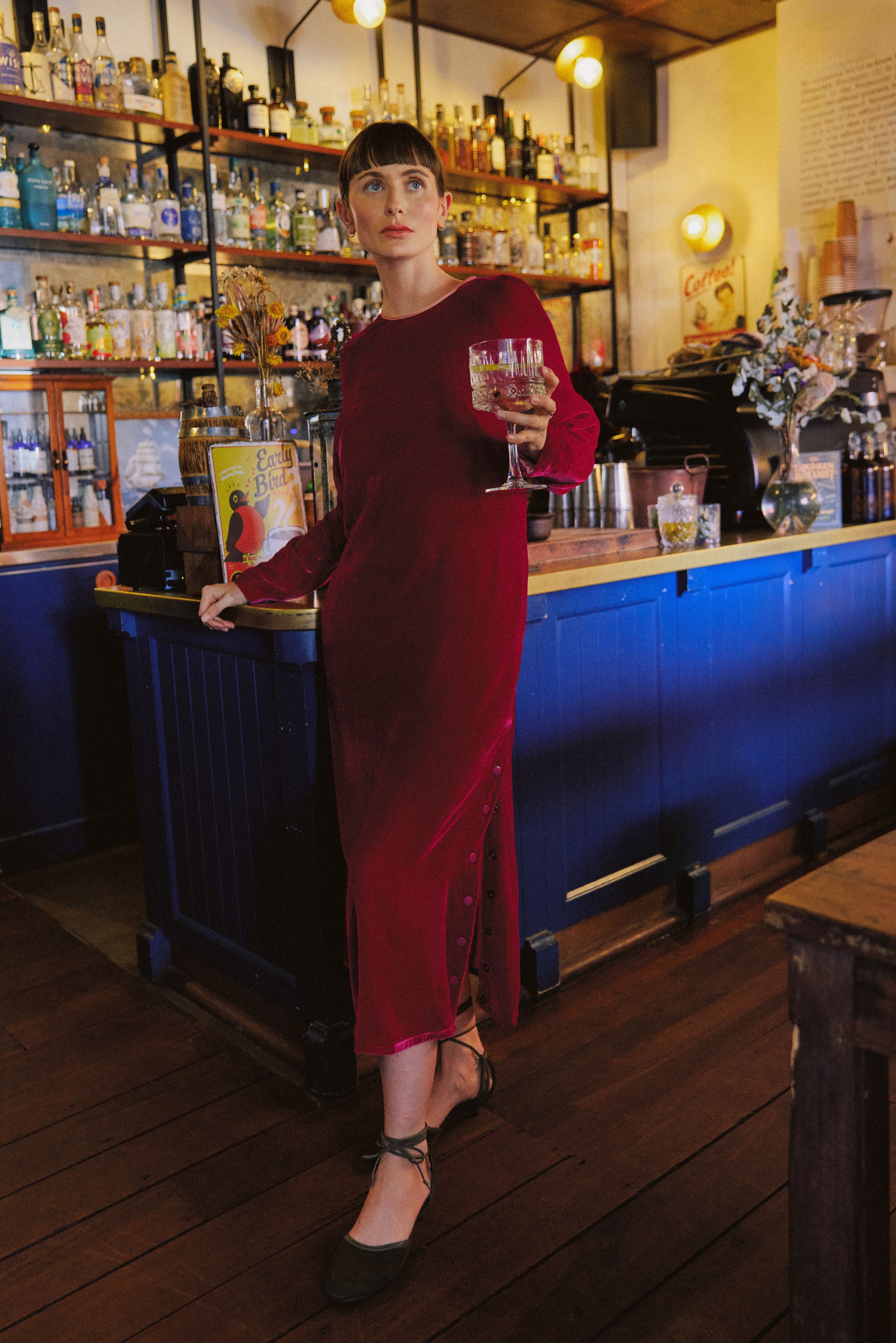 Aude Silk Velvet Dress