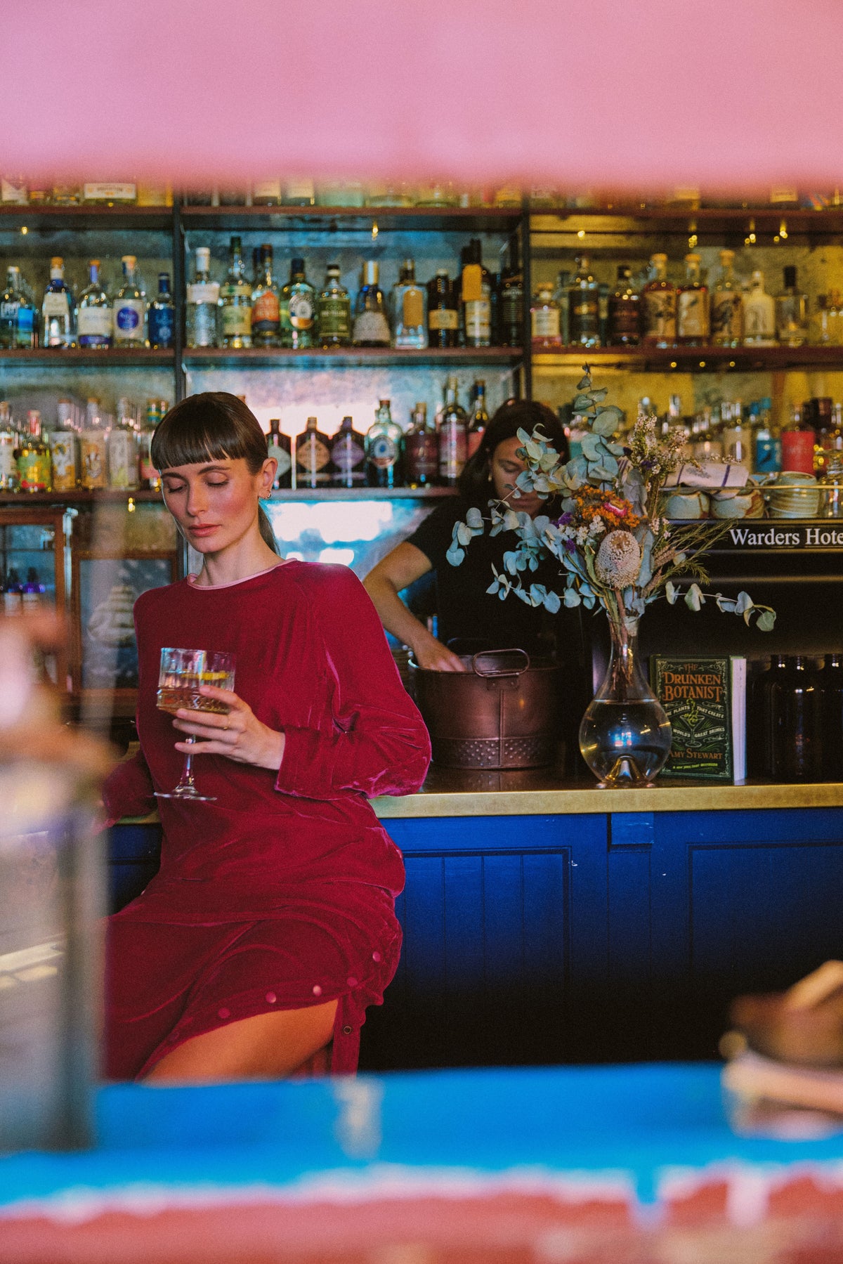Aude Silk Velvet Dress
