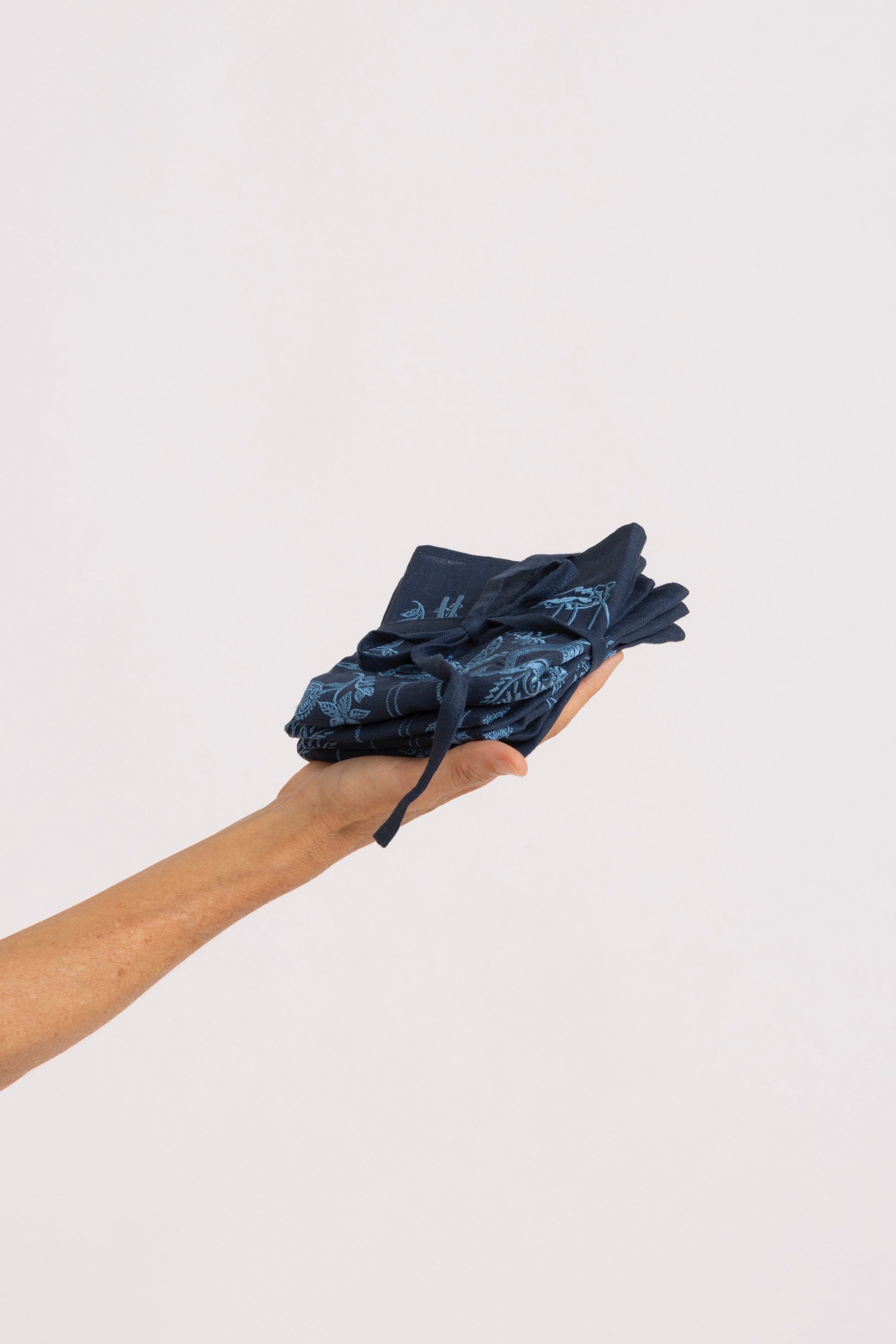 Isadora Embroidered Linen Napkins (Set of 4)