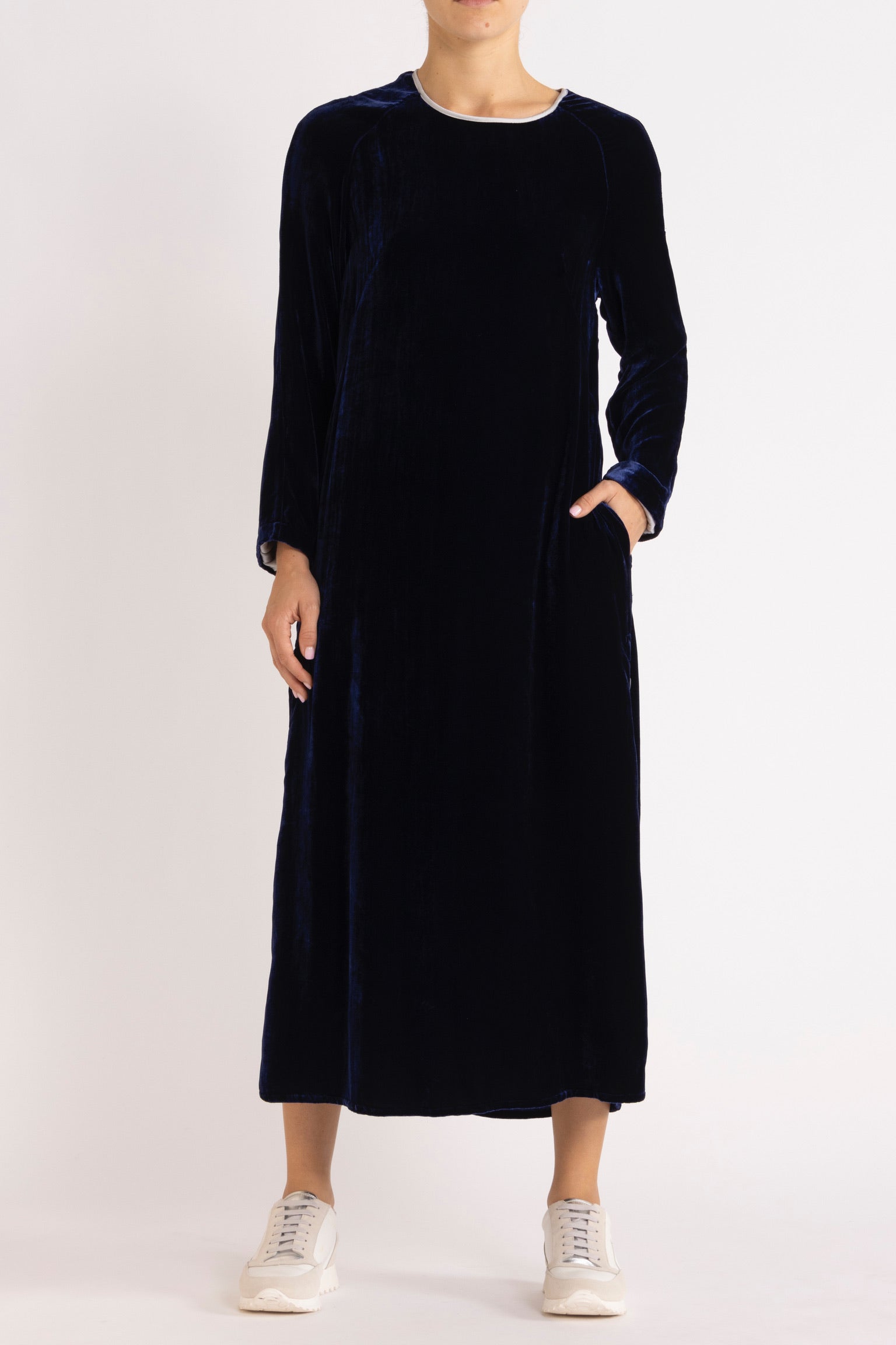 Aude Silk Velvet Dress