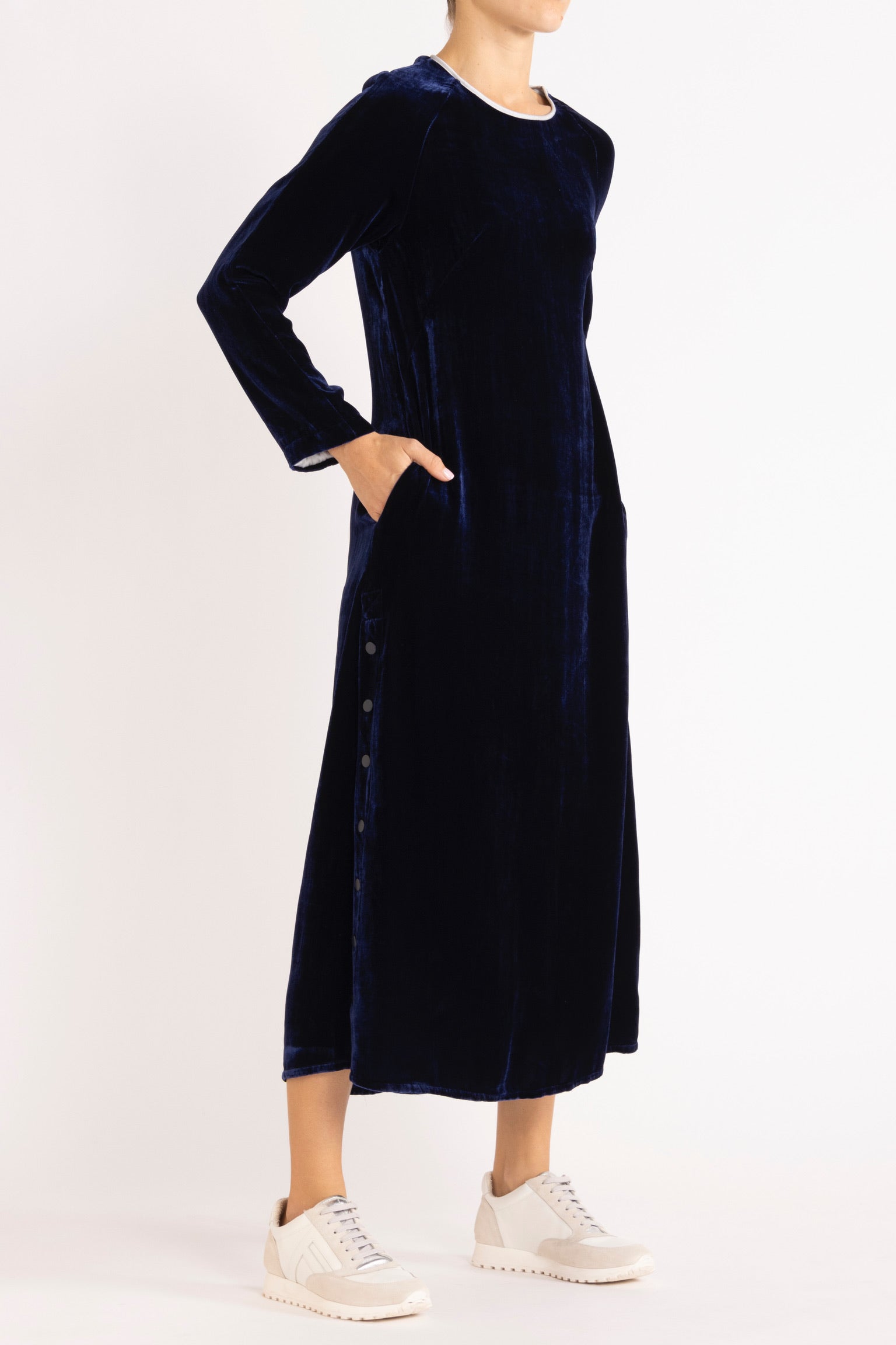 Aude Silk Velvet Dress