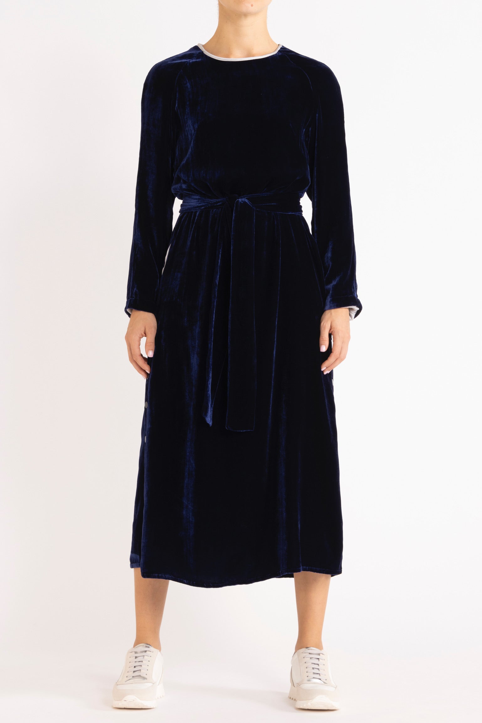 Aude Silk Velvet Dress