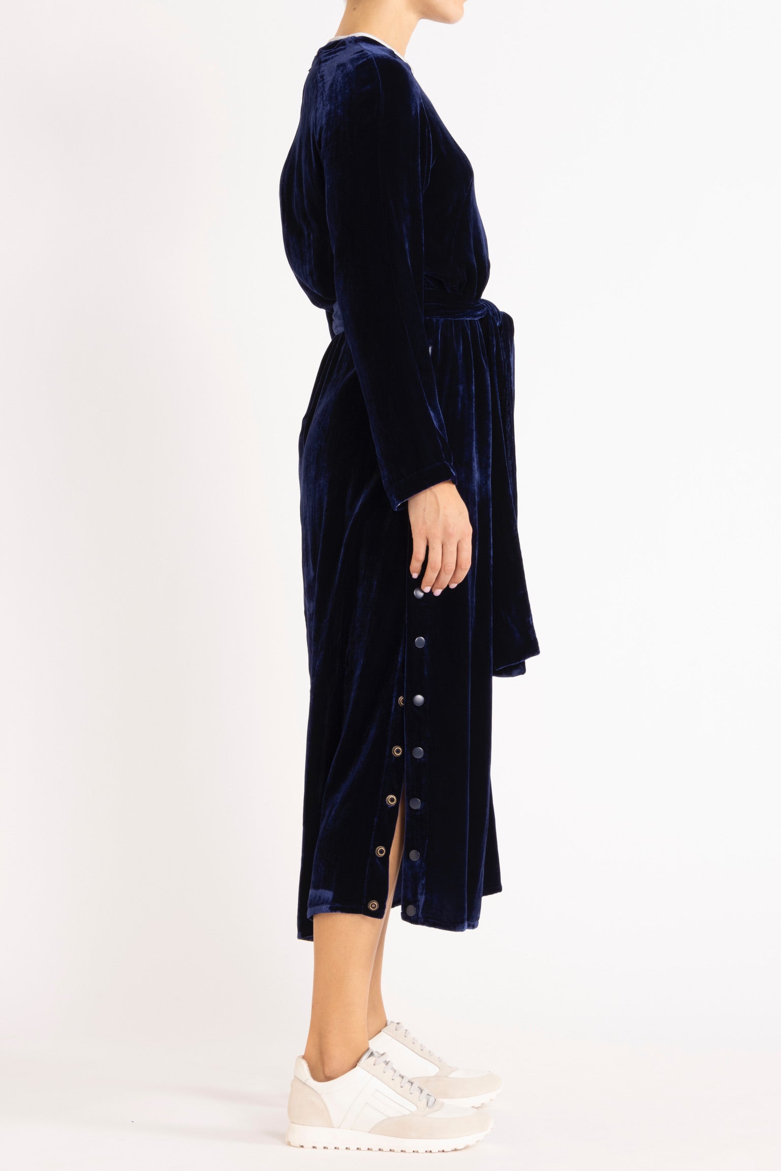 Aude Silk Velvet Dress