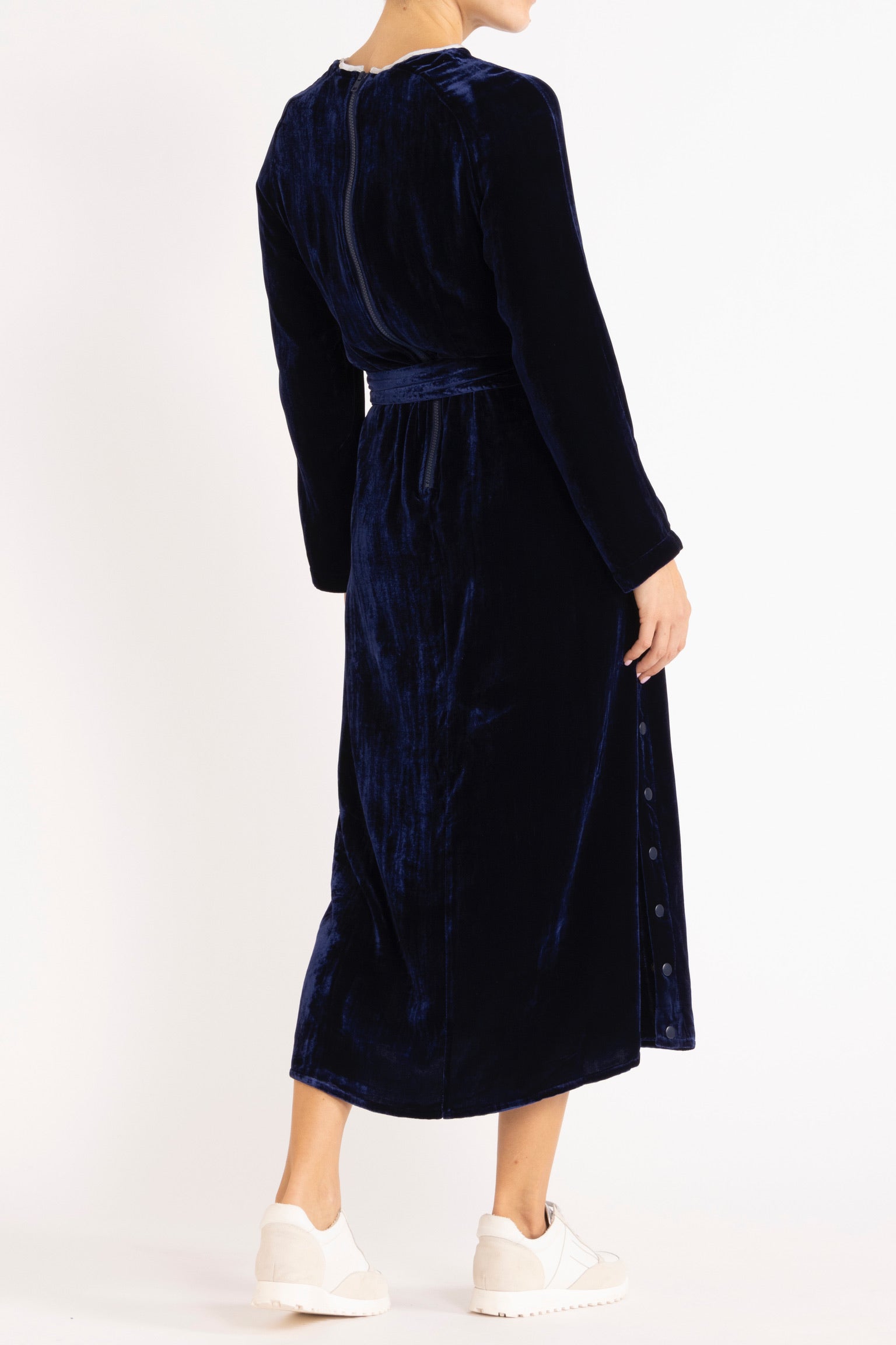 Aude Silk Velvet Dress