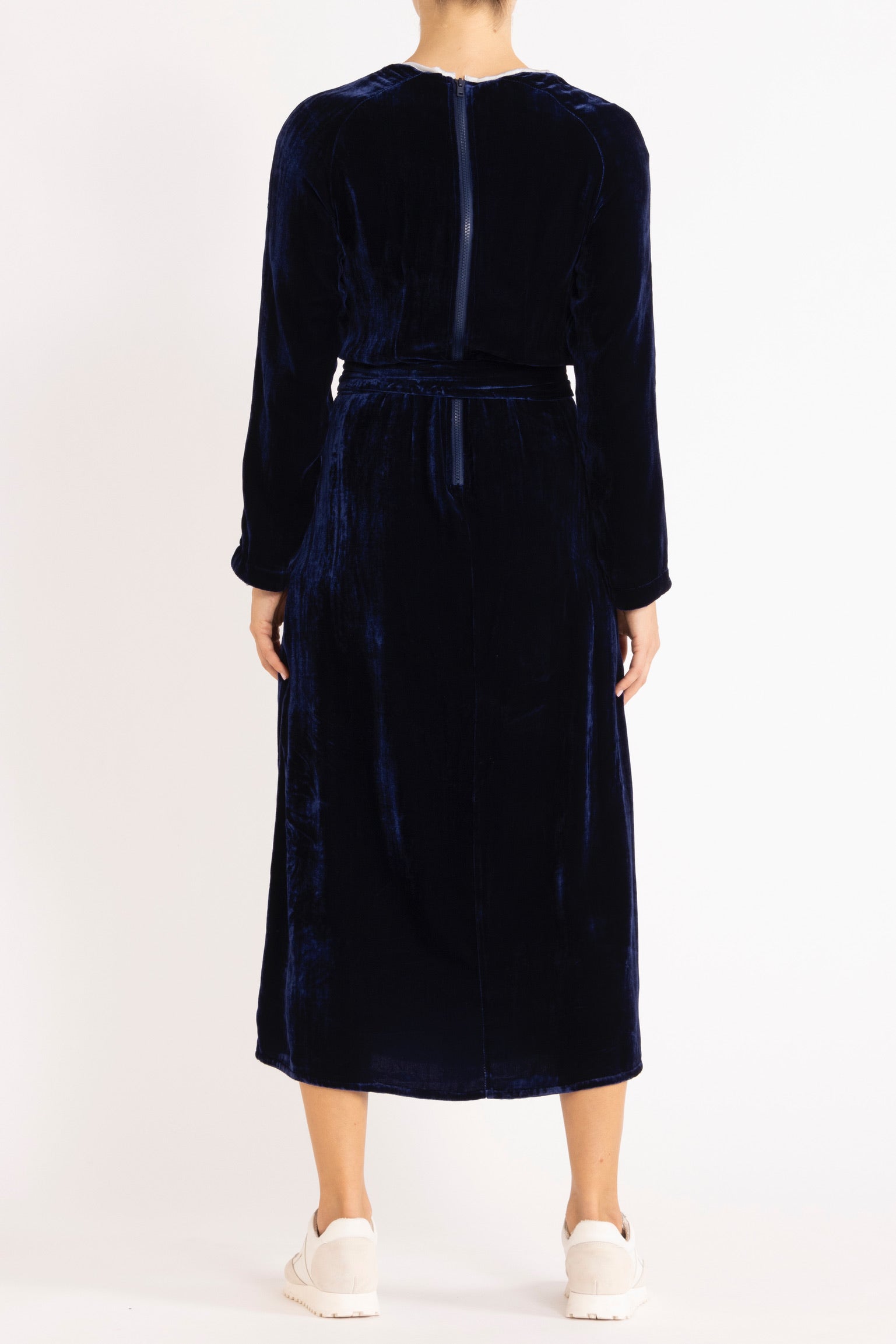 Aude Silk Velvet Dress