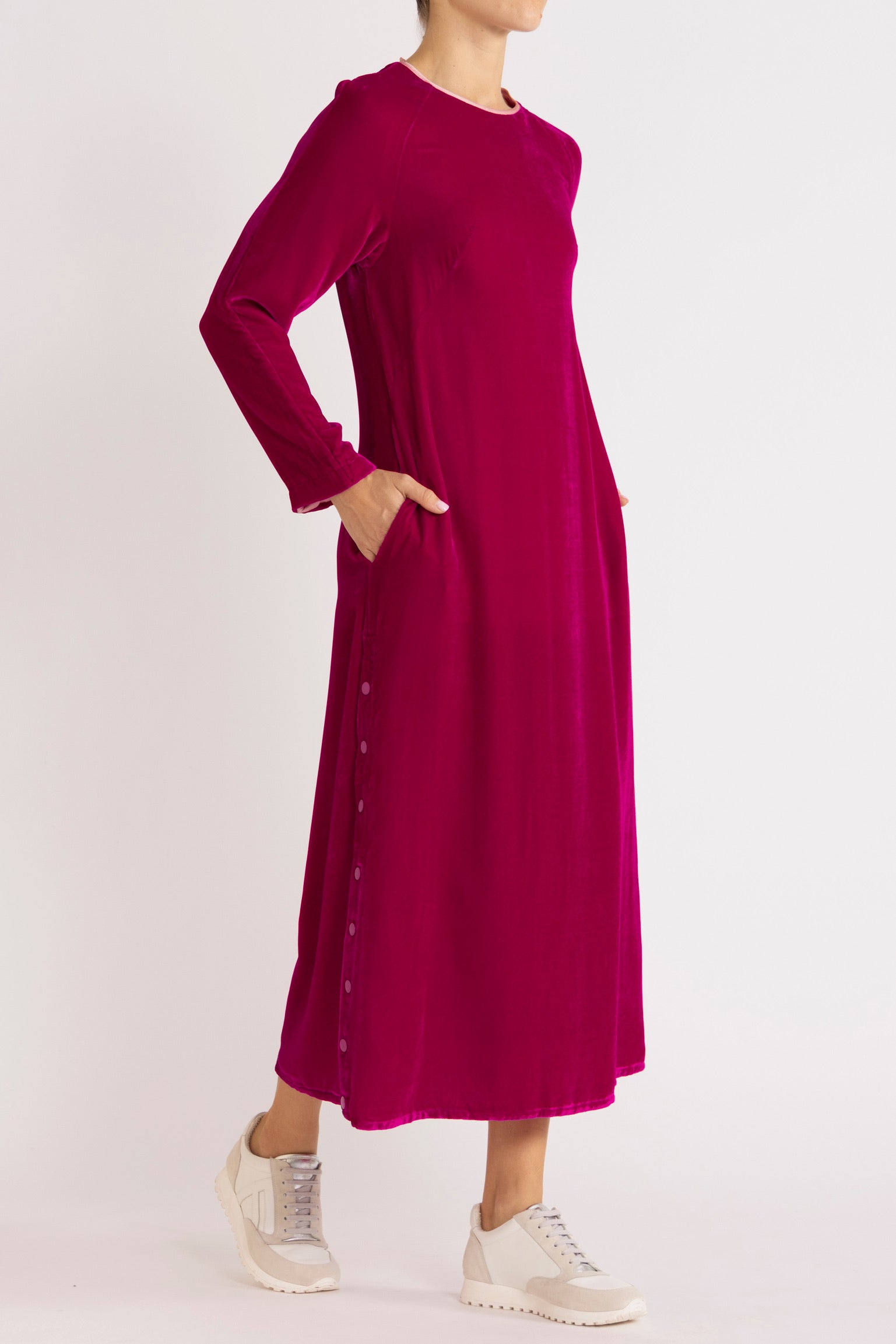 Aude Silk Velvet Dress