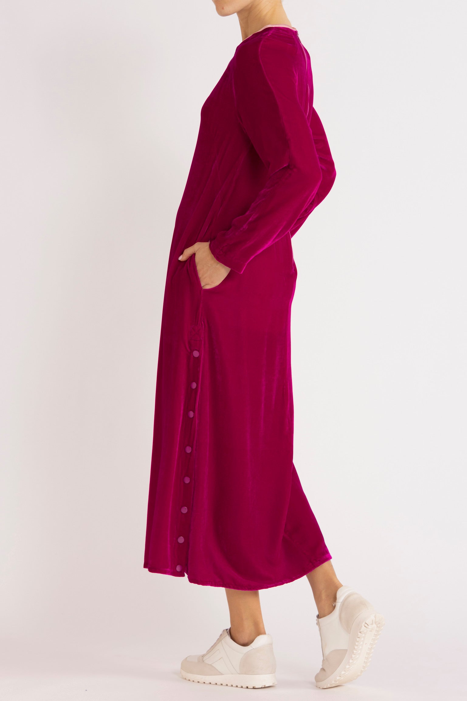Aude Silk Velvet Dress