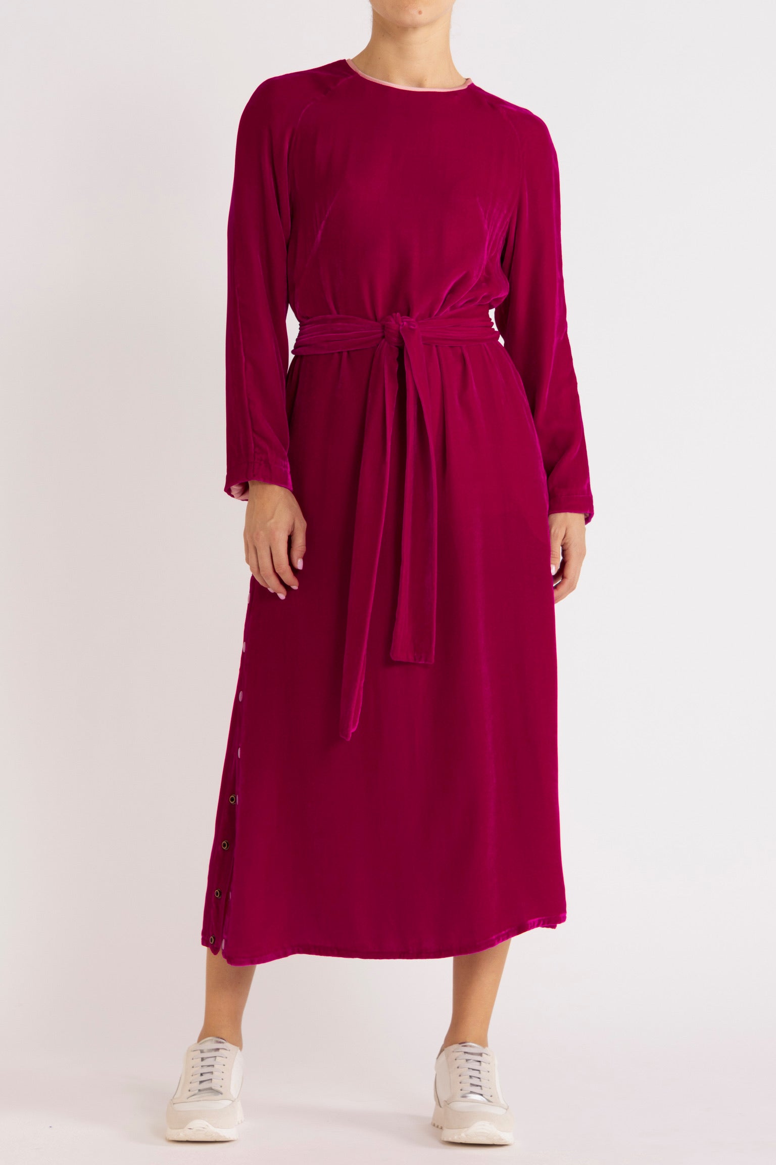 Aude Silk Velvet Dress