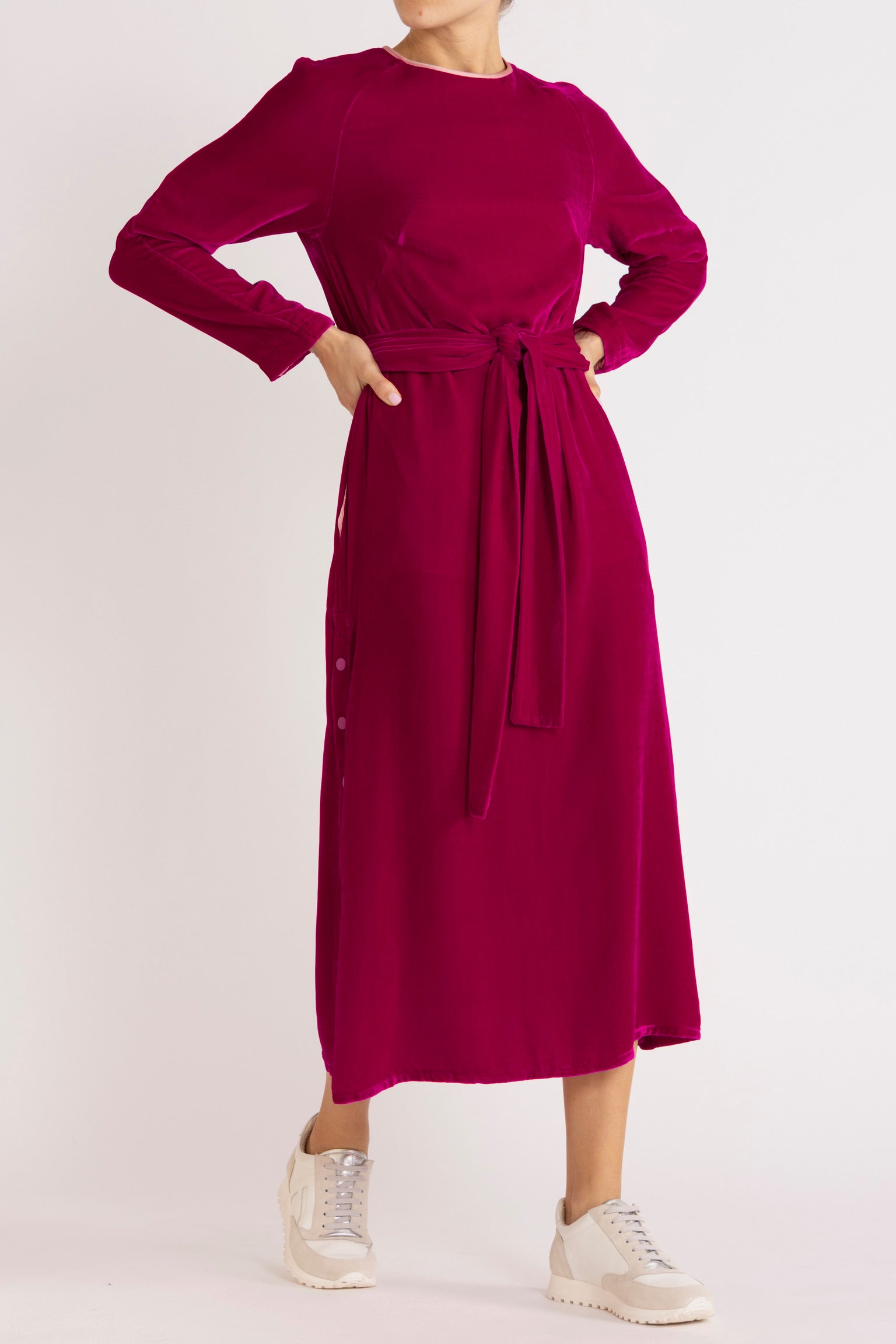Aude Silk Velvet Dress