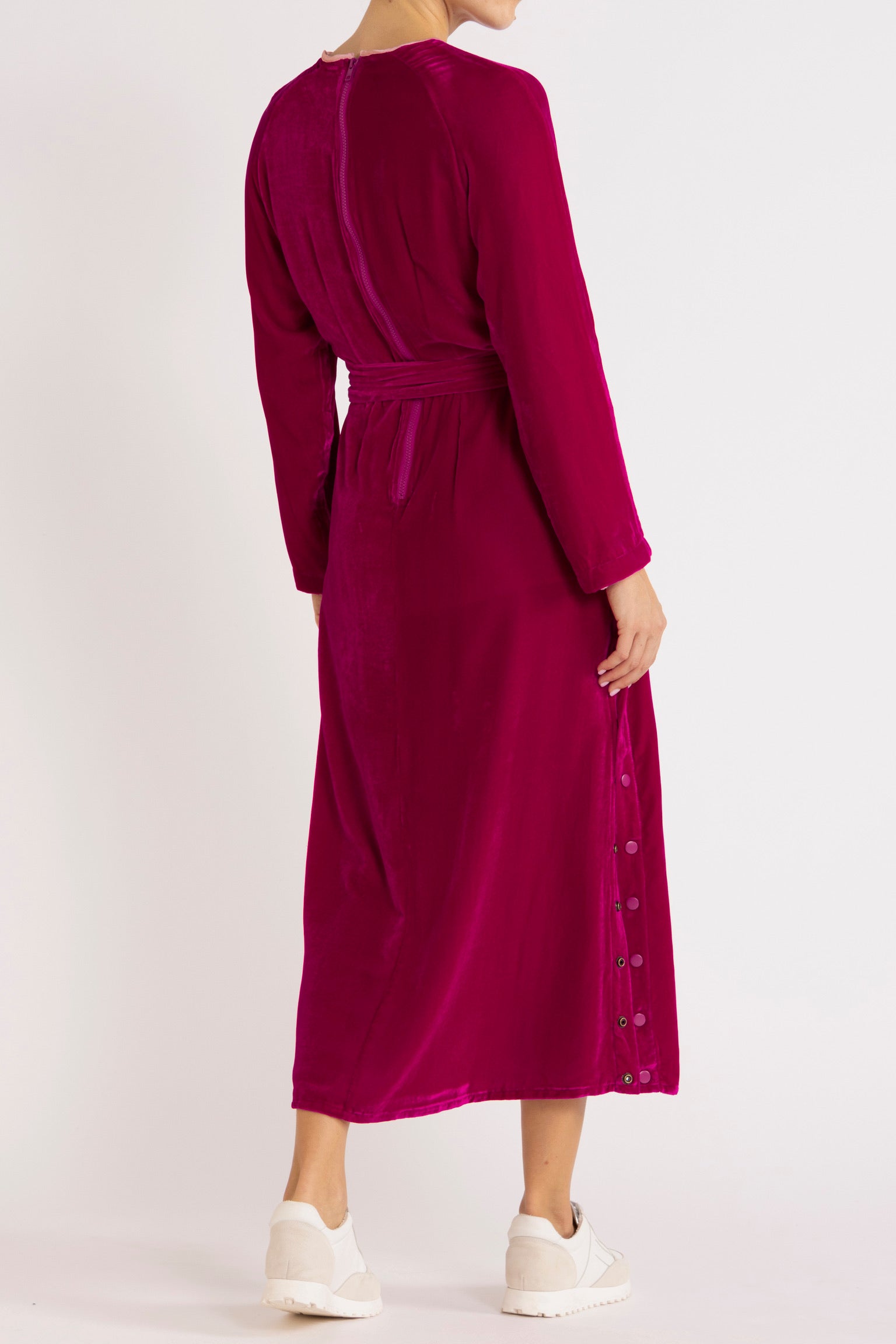 Aude Silk Velvet Dress