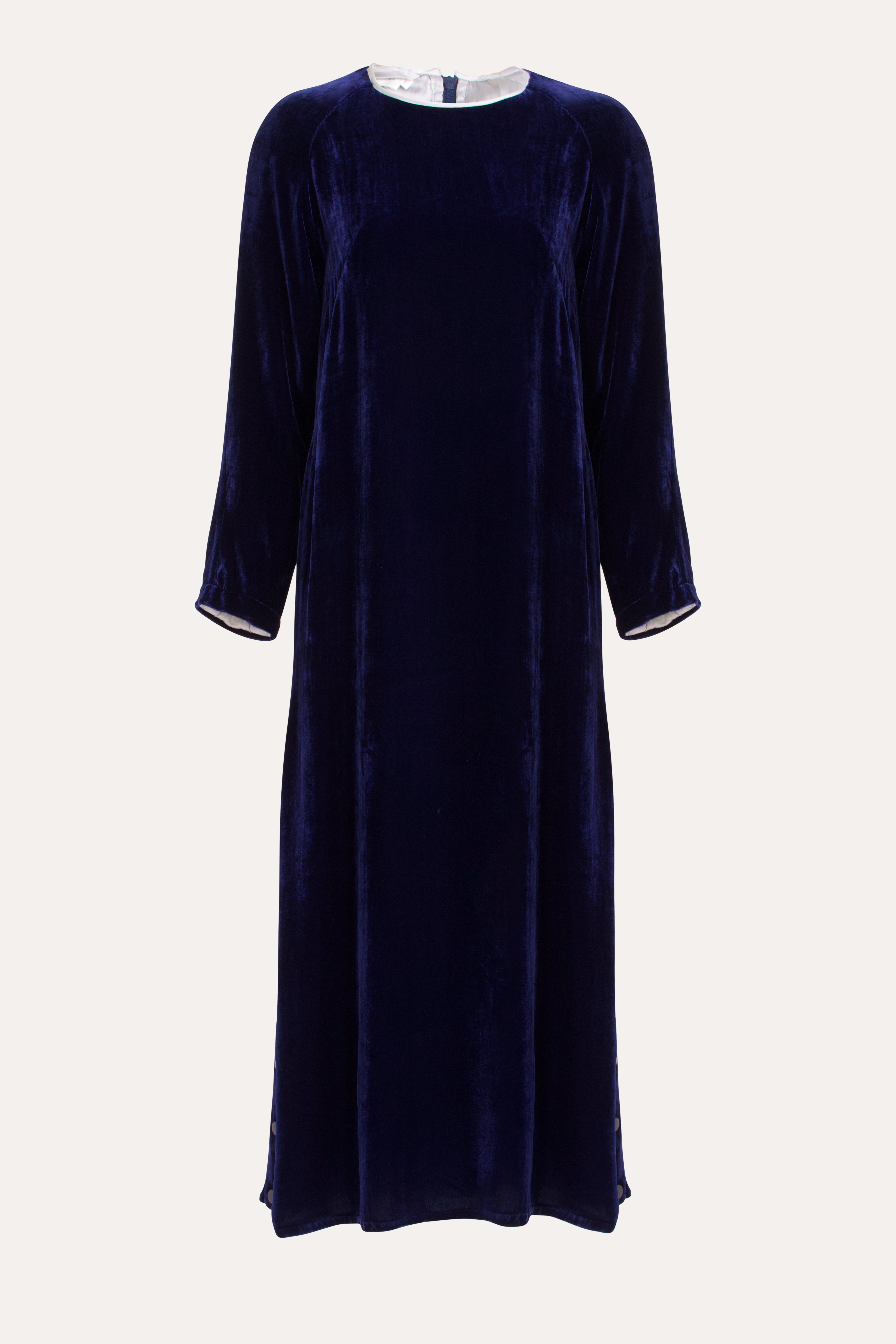 Aude Silk Velvet Dress