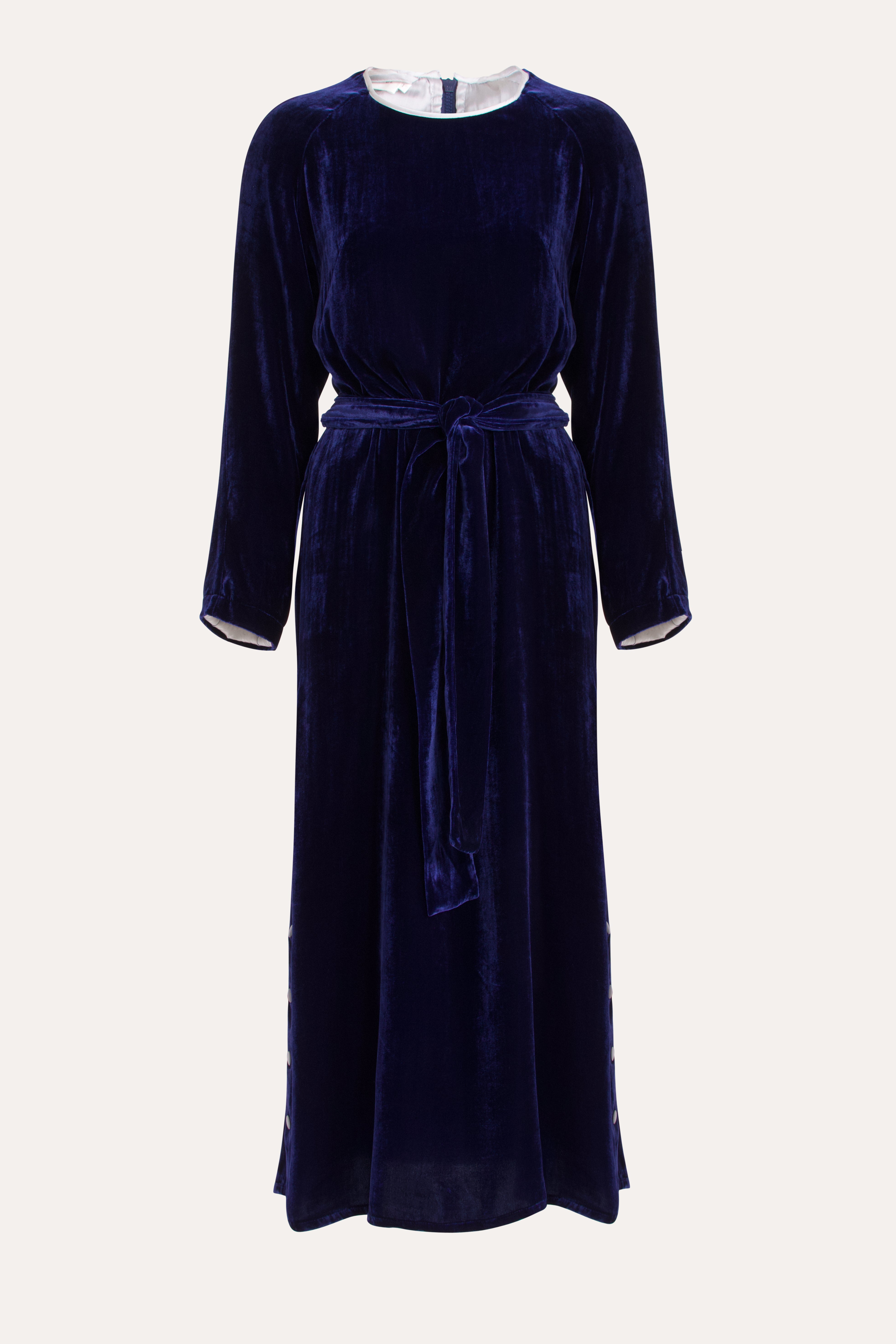 Aude Silk Velvet Dress