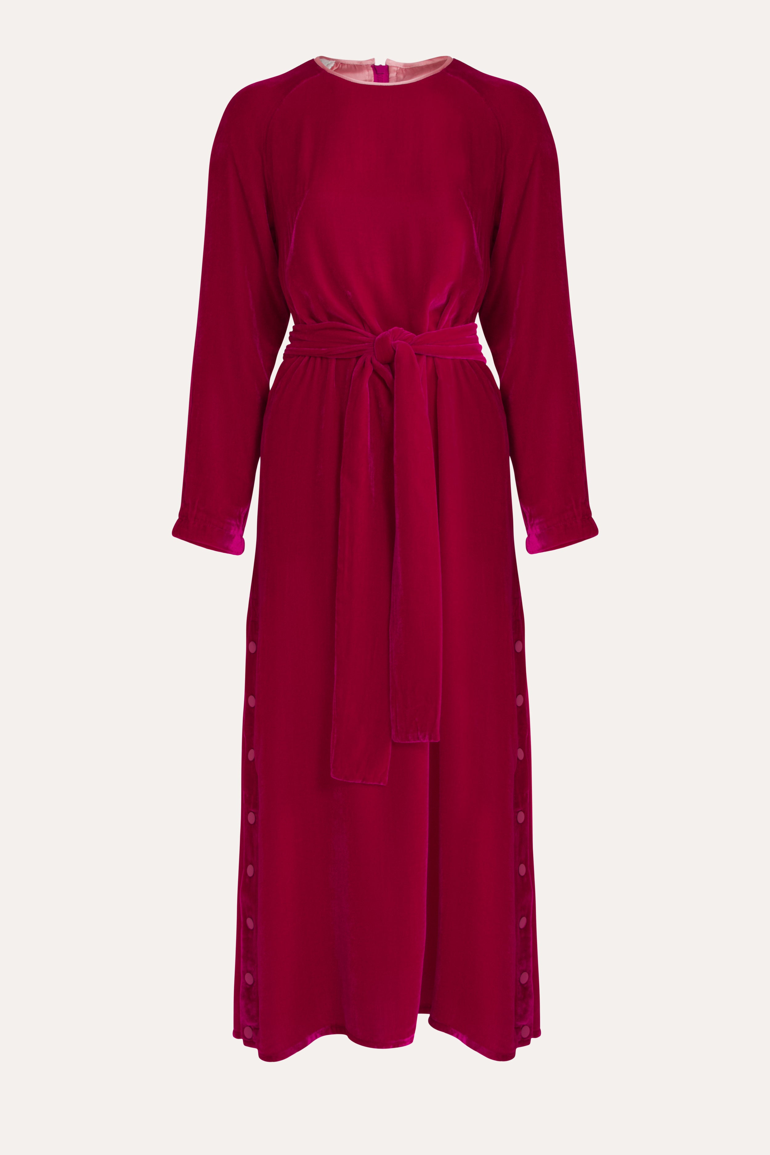 Aude Silk Velvet Dress